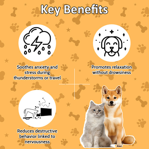 Calming Chews for Dogs & Cats