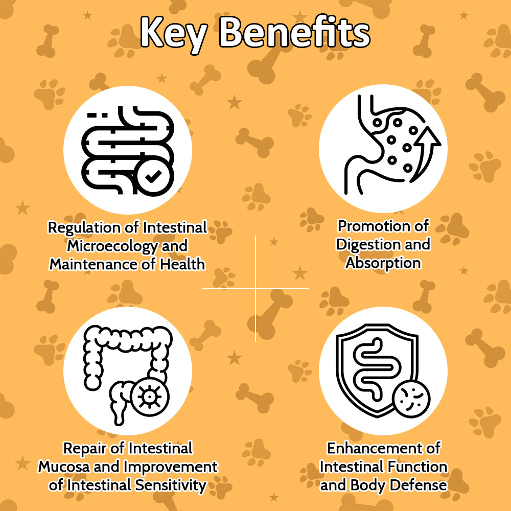 Pre, Pro, & Postbiotic for Dogs & Cats