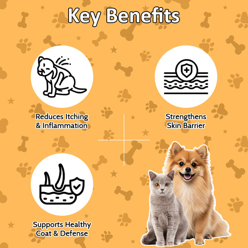 Allergy Immunity for Dogs & Cats
